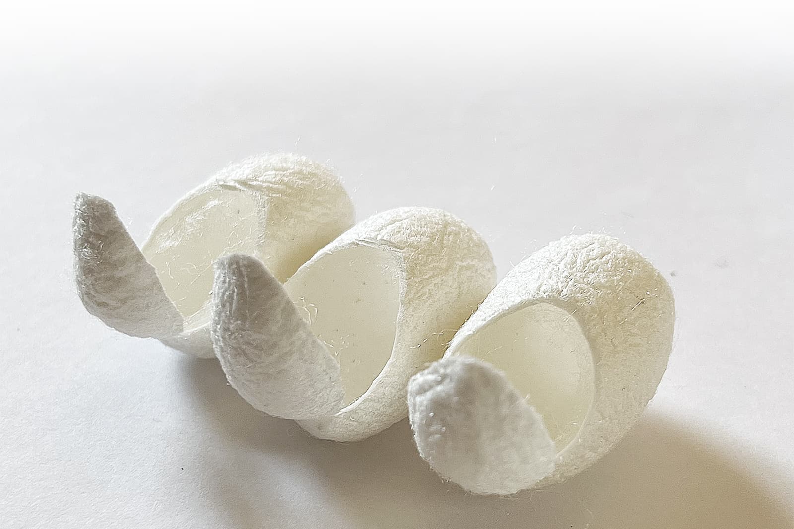 繭玉イメージ画像